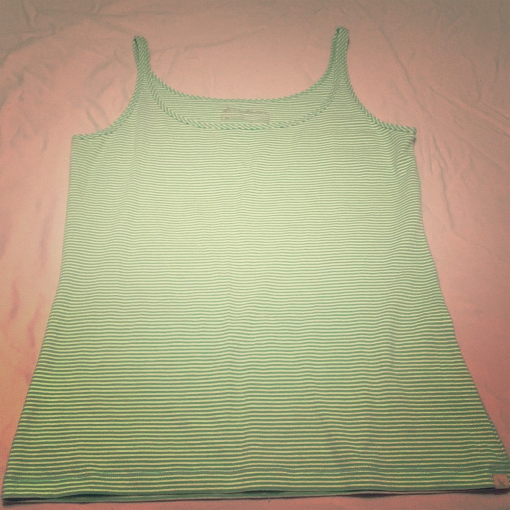 CLEARANCE ITEM: Eddie Bauer Striped Green and White Tank Top